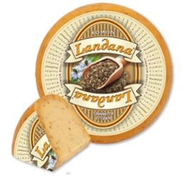 GOUDA AU CUMIN LANDANA 4KG X1
