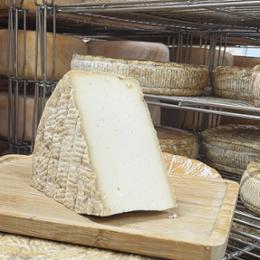 TOMME LAIT DE BUFFLONNE FR 5KG X1