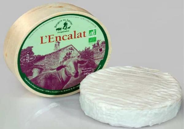 L'ENCALAT BIO (brebis) 240G X 4