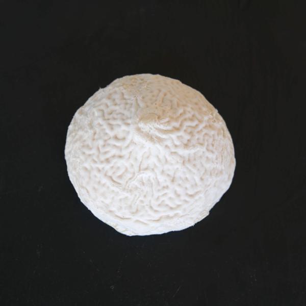 LA MERINGUE 120 G X 6