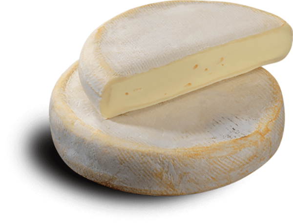 REBLOCHON AOP LAITIER TRADITION CHABERT KGx12