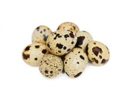 OEUFS DE CAILLE (BQ DE 18) X 6