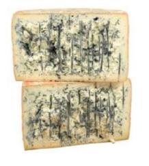 GORGONZOLA AOP GRANDE RESERVE 12KG X1