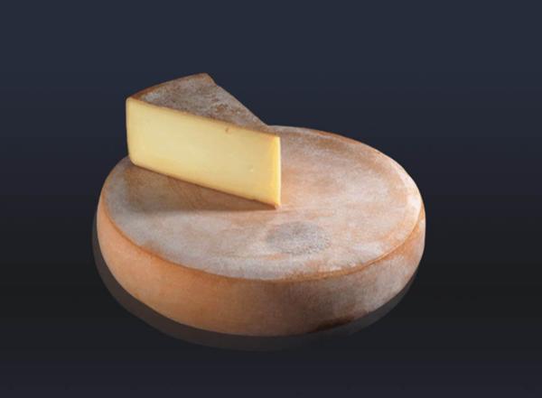 RACLETTE LC SAVOIE CHABERT 6KG X1