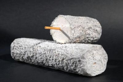 SAINTE MAURE DE TOURAINE AOP 250GX12