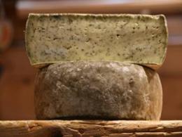 TOMME FERMIERE AIL DES OURS 1,5KGX3