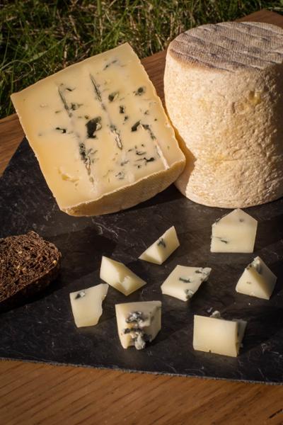 TOMMETTE BLEU DE BREBIS 500G X6