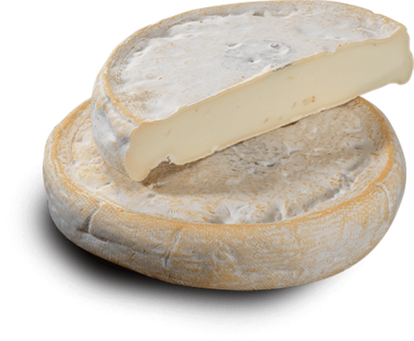 REBLOCHON AOP FERMIER CHABERT X 6