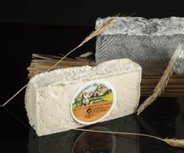 BRIQUE CHEVRE CENDREE LC 190G X6