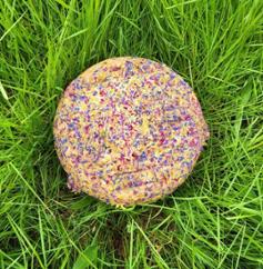 BREBIS AUX FLEURS THERM 3KG X1