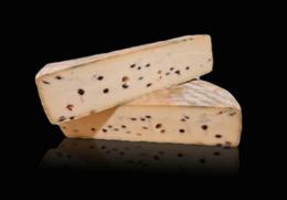 TOME LE SAULNOIS MYRTILLE 5,5KG X1