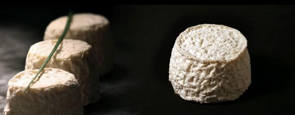 CROTTIN  VILLAGEOIS 100G X15