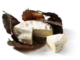 BANON CHEVRE AOP MOULE A LA LOUCHE 100G X 8