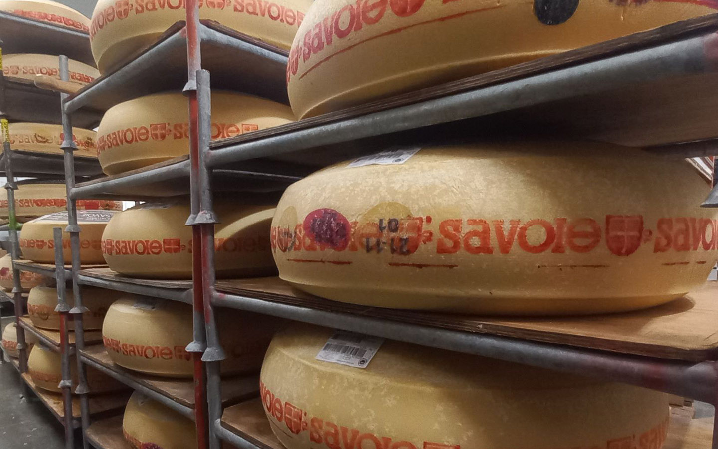 Meules d'Emmental de Savoie